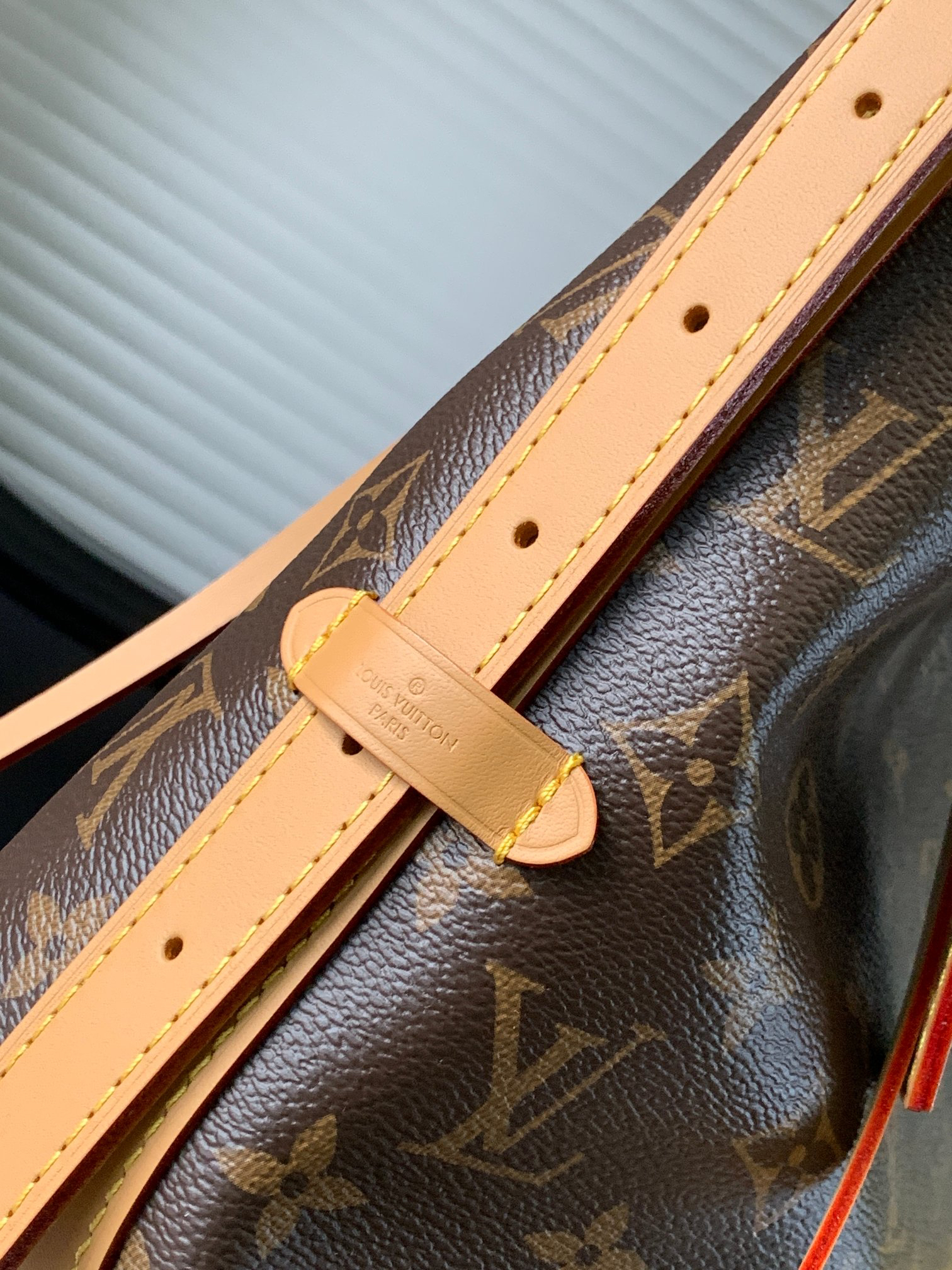 Louis Vuitton Handbag M46203