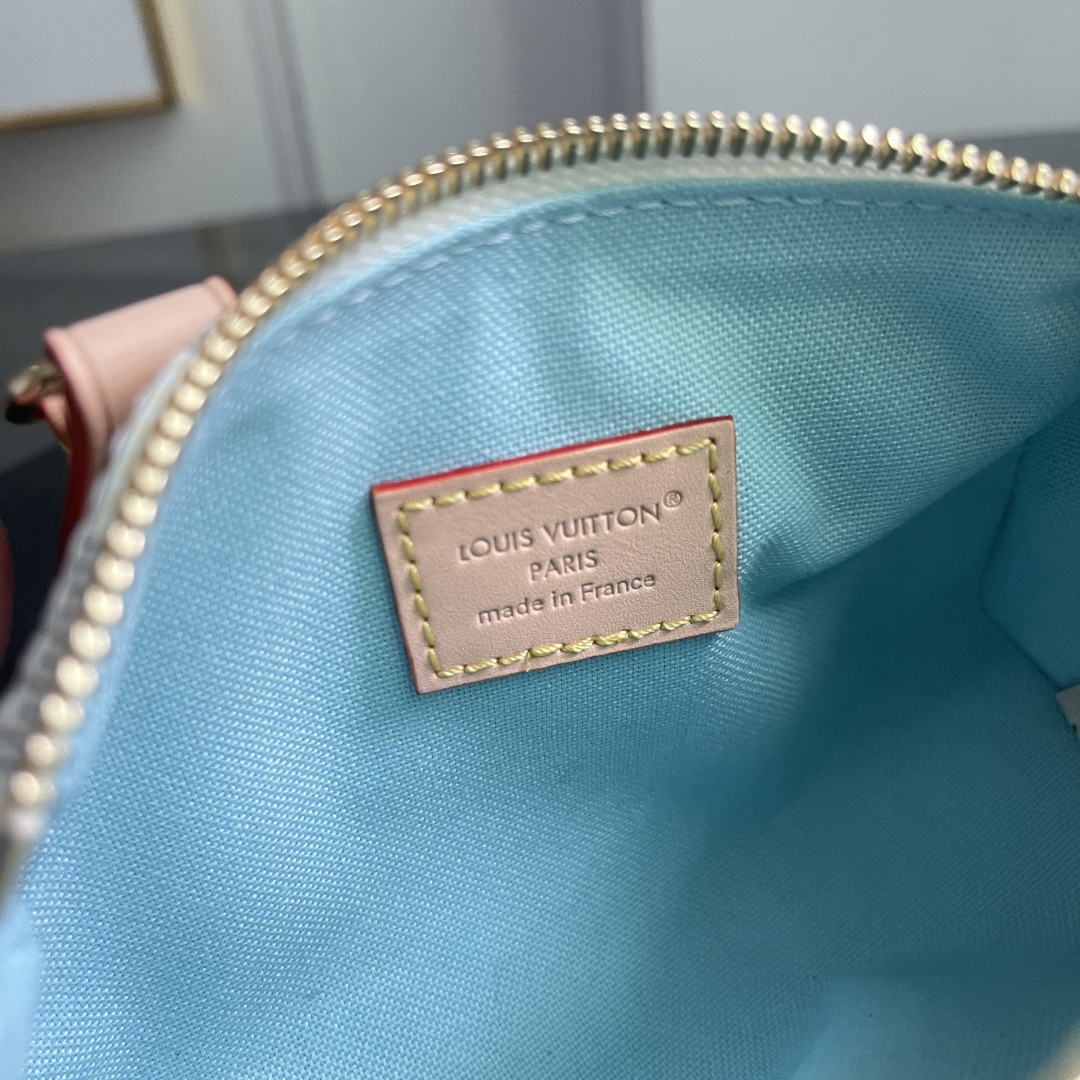 Louis Vuitton Nano Speedy Handbag