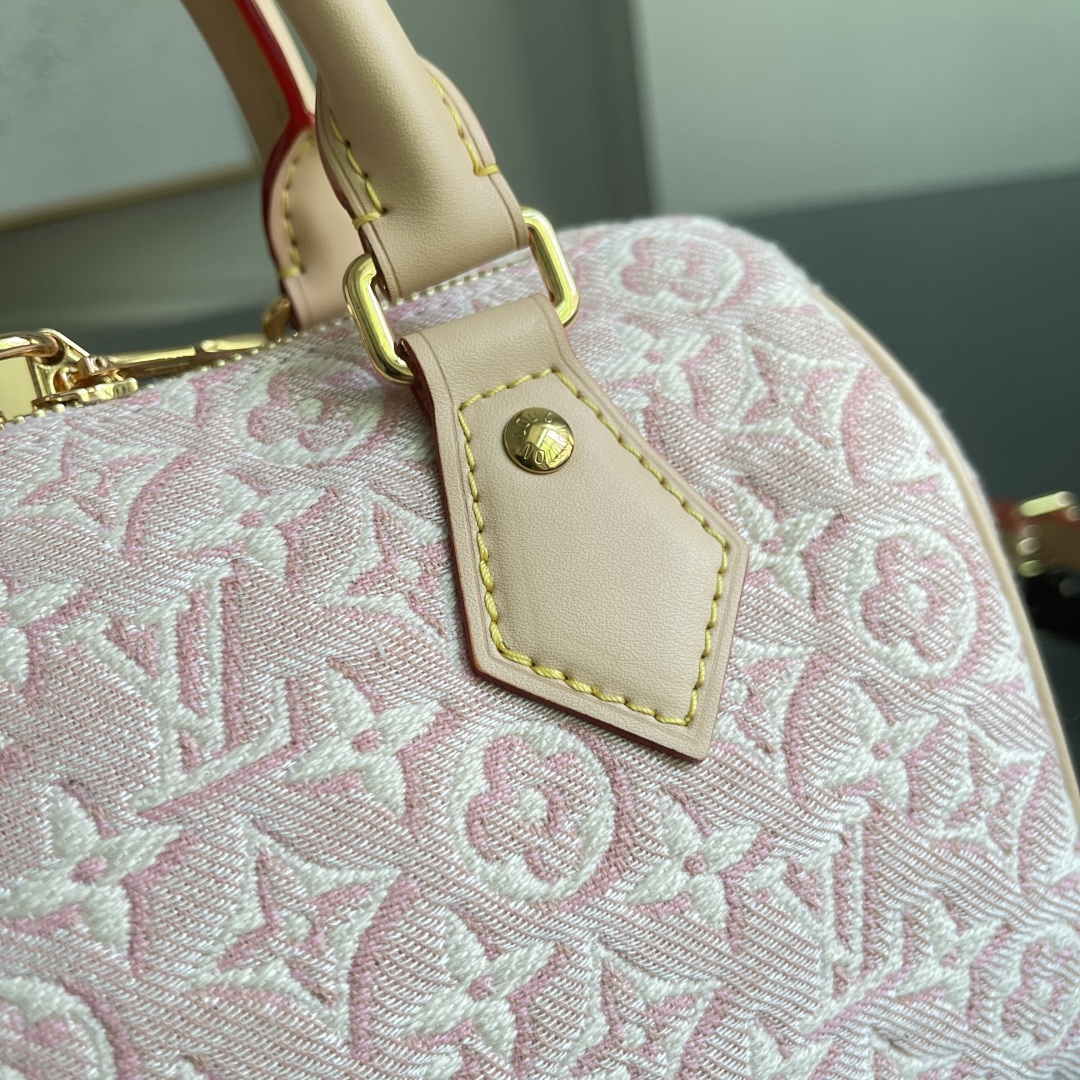 Louis Vuitton Handbag