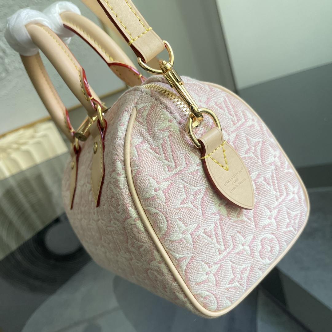 Louis Vuitton Handbag