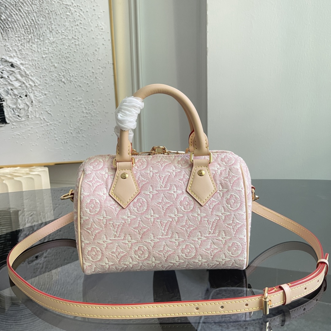 Louis Vuitton Handbag