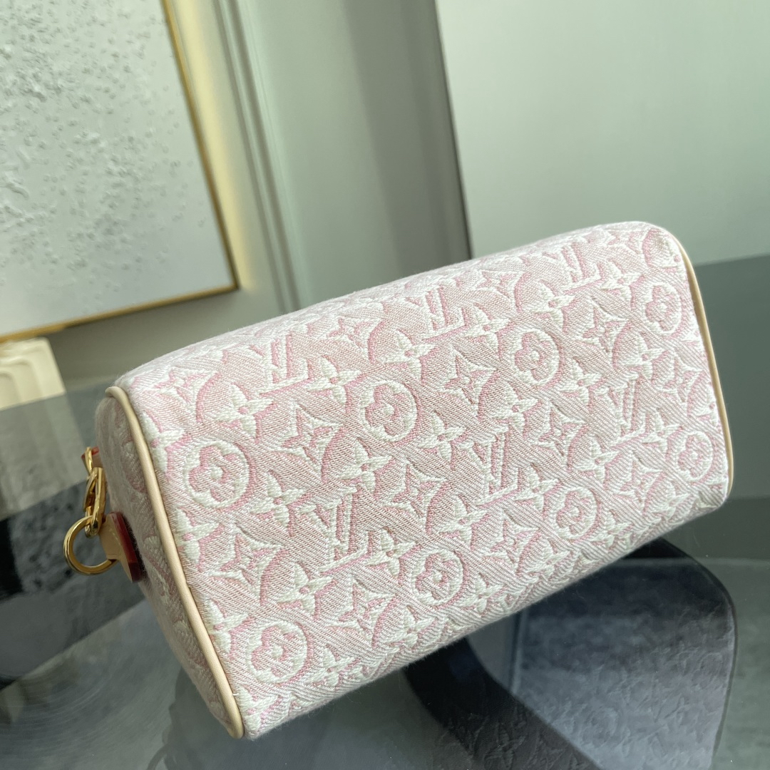 Louis Vuitton Handbag