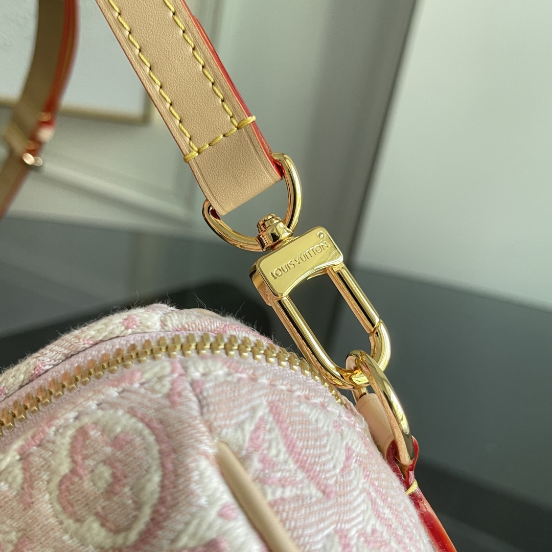Louis Vuitton Handbag