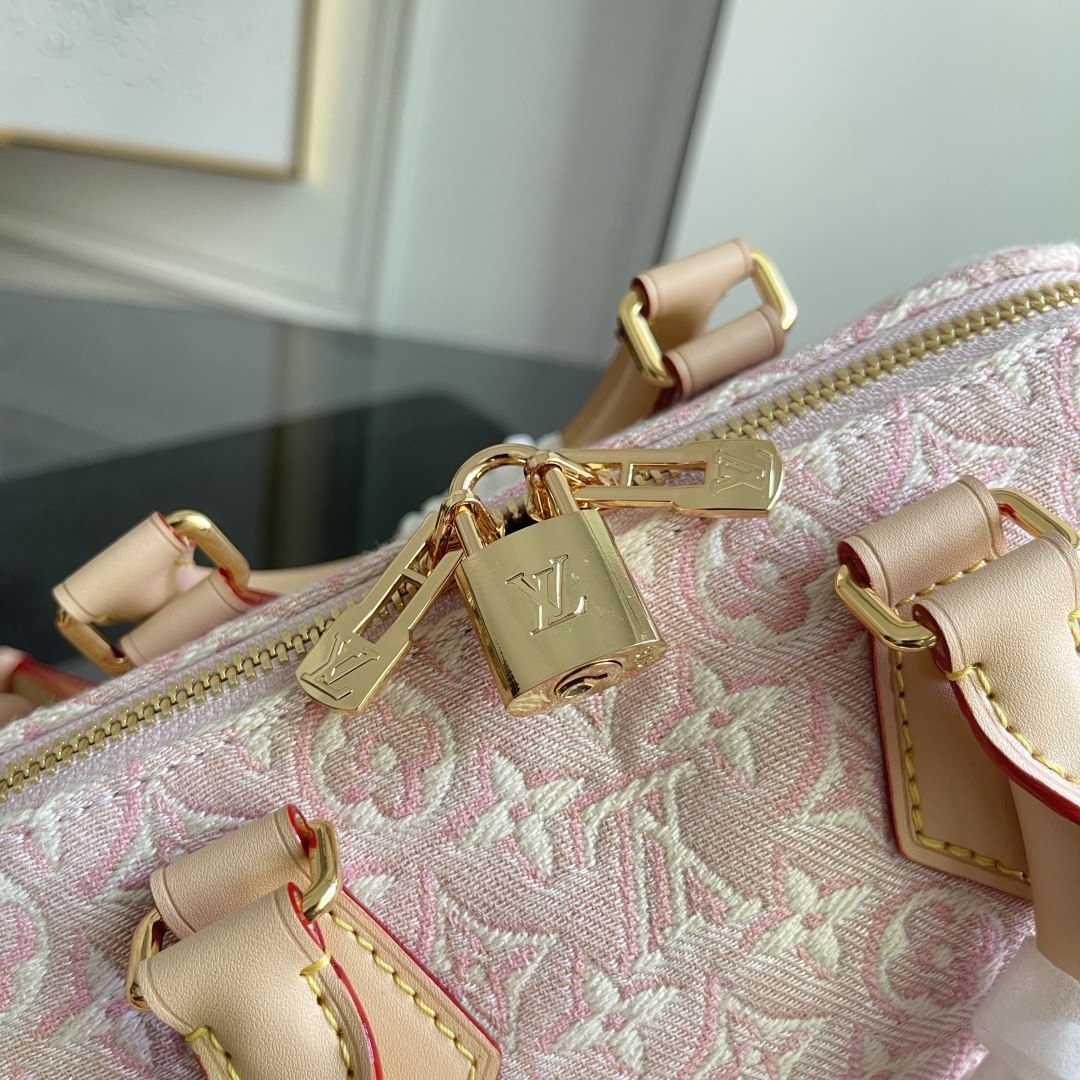 Louis Vuitton Handbag