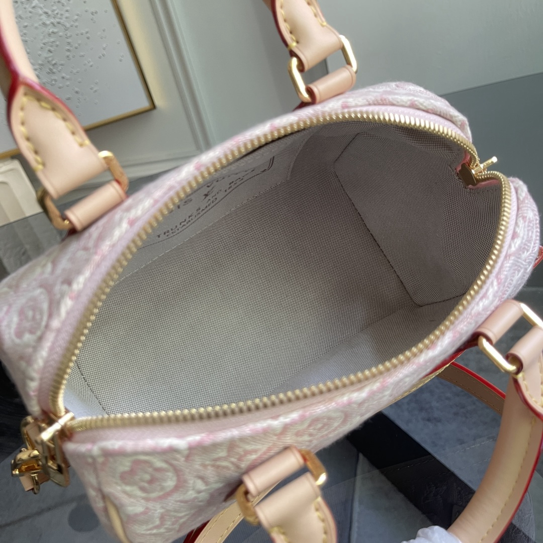 Louis Vuitton Handbag
