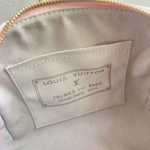 Louis Vuitton Handbag