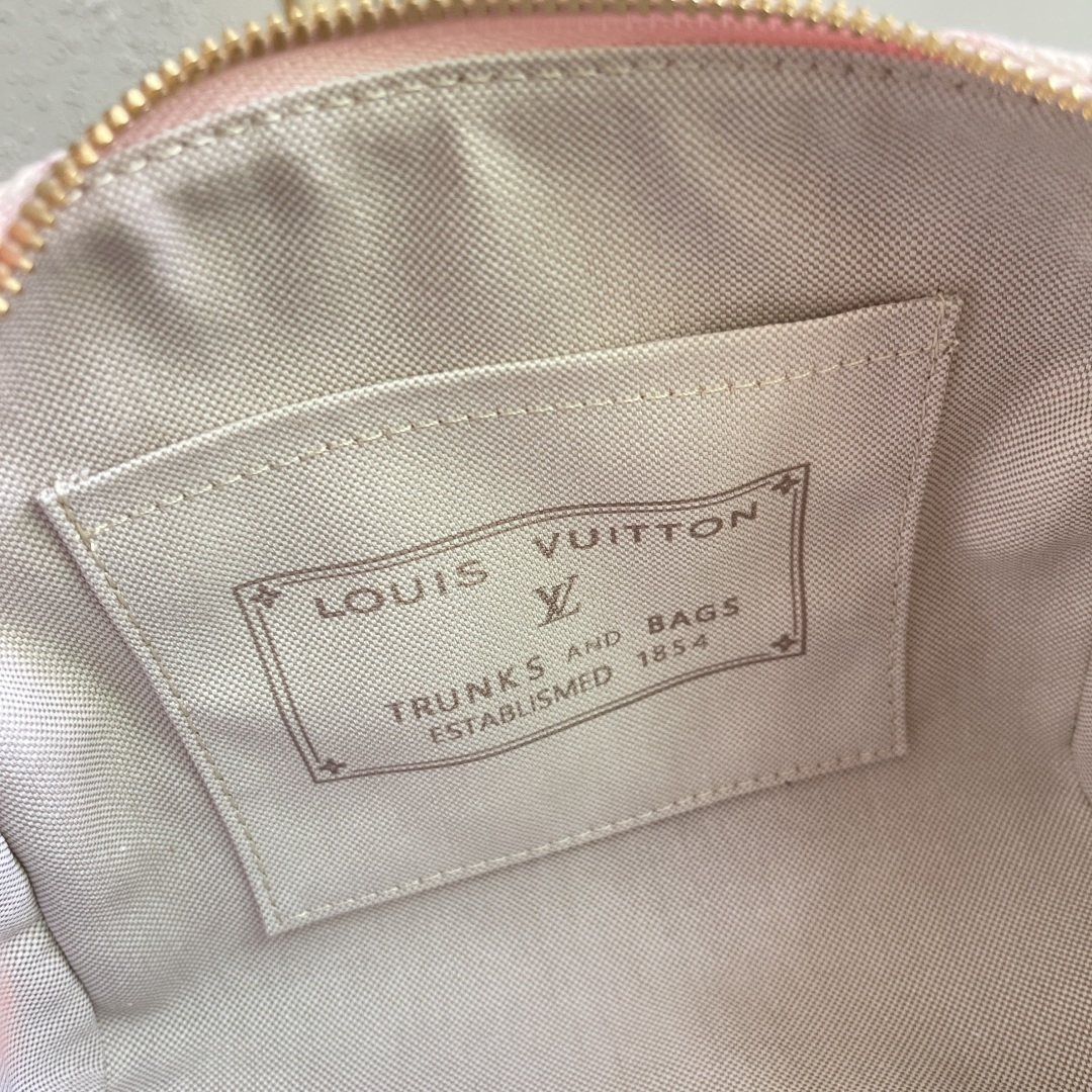 Louis Vuitton Handbag