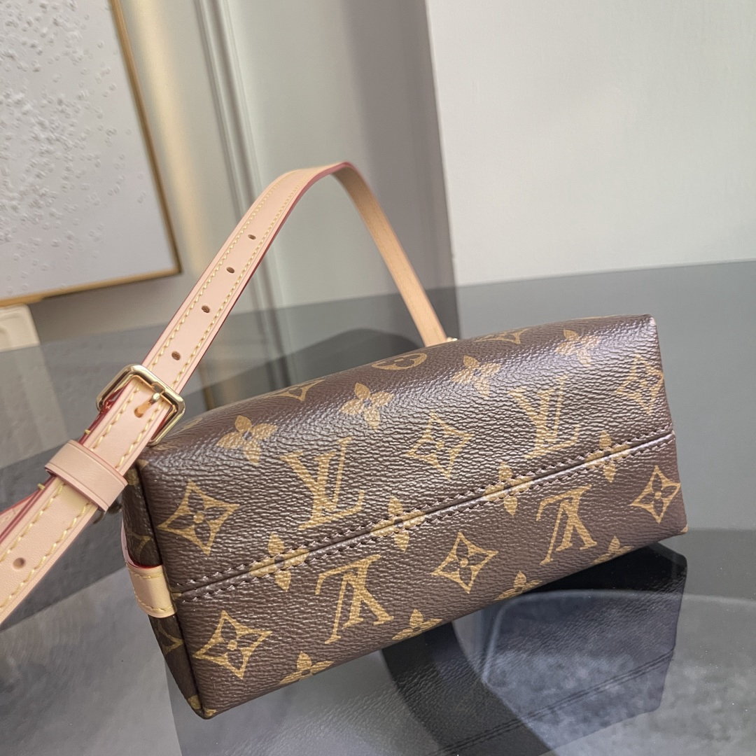 Louis Vuitton Handbag M29099