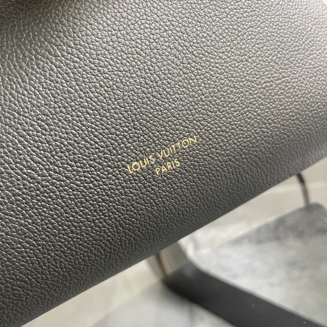 Louis Vuitton Handbag M29195 in Black