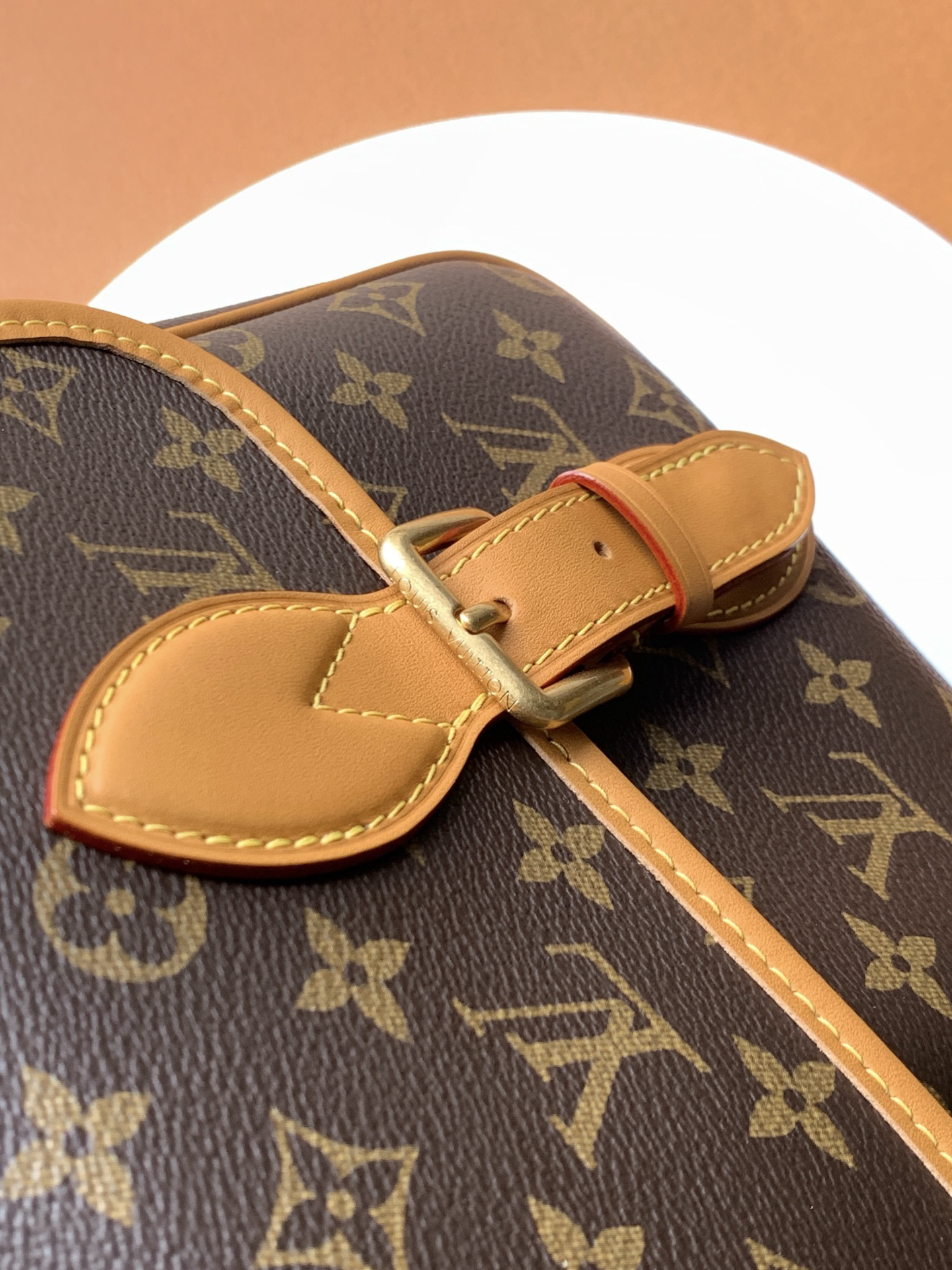 Louis Vuitton Handbag P730