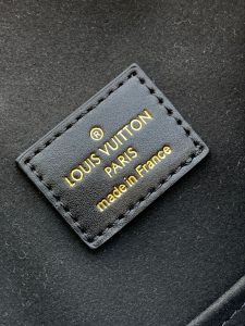 Louis Vuitton Backpack 45205