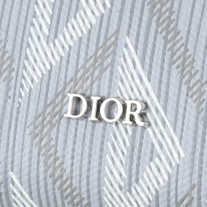 Dior Handbag in Grey