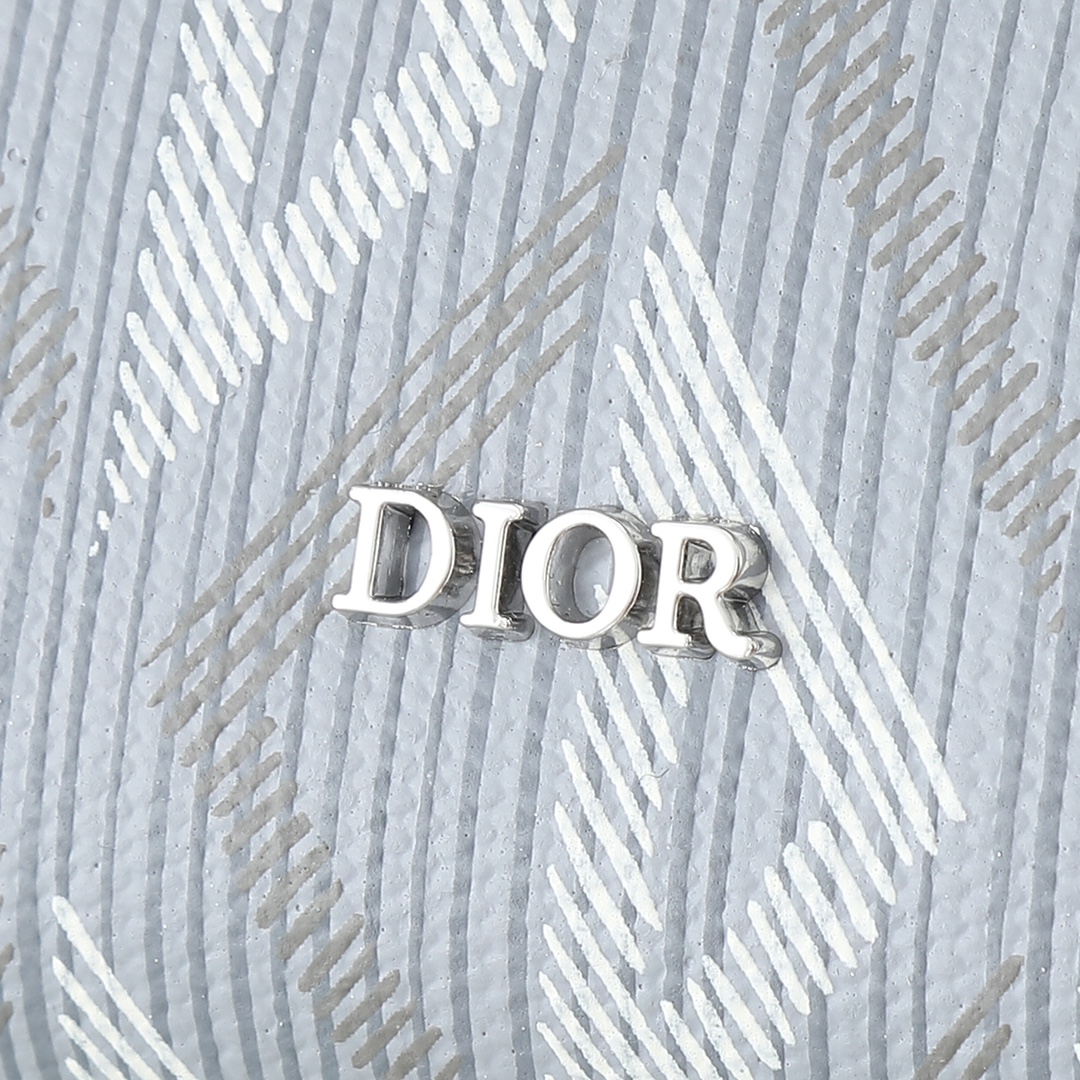 Dior Handbag in Grey
