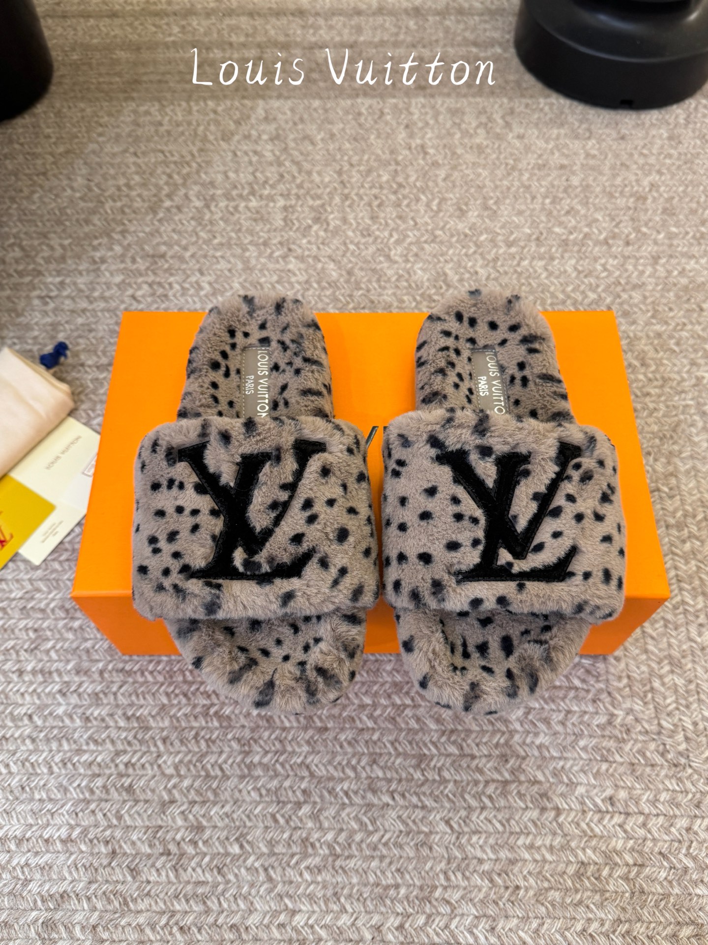 Louis Vuitton Shoes