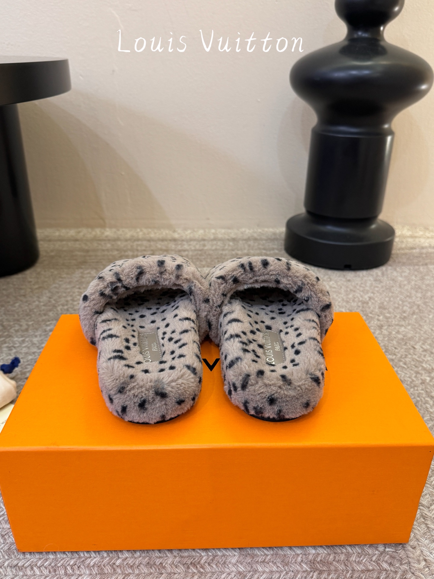Louis Vuitton Shoes
