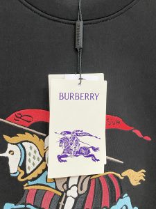 Burberry Hoodie in Black