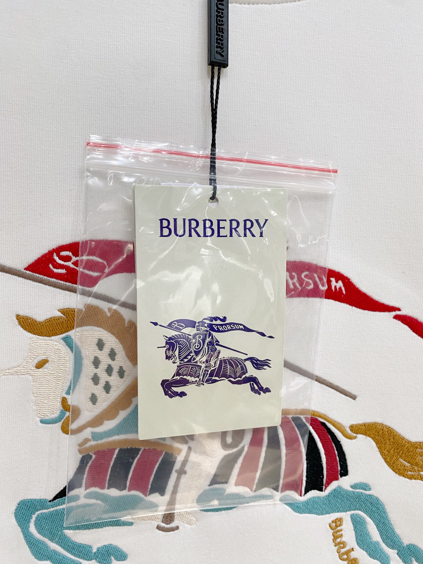 Burberry Hoodie in Black