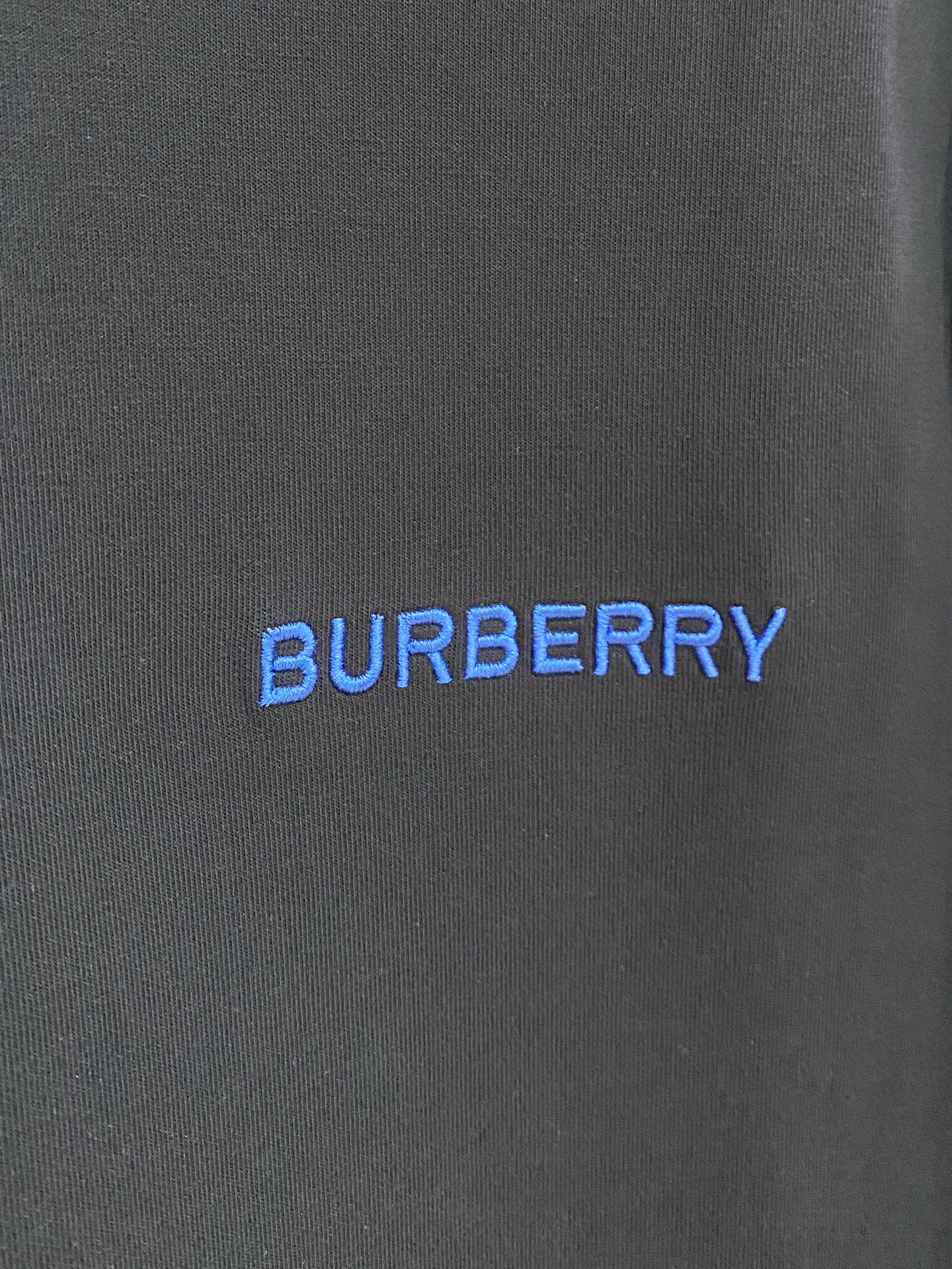 Burberry Hoodie in Black
