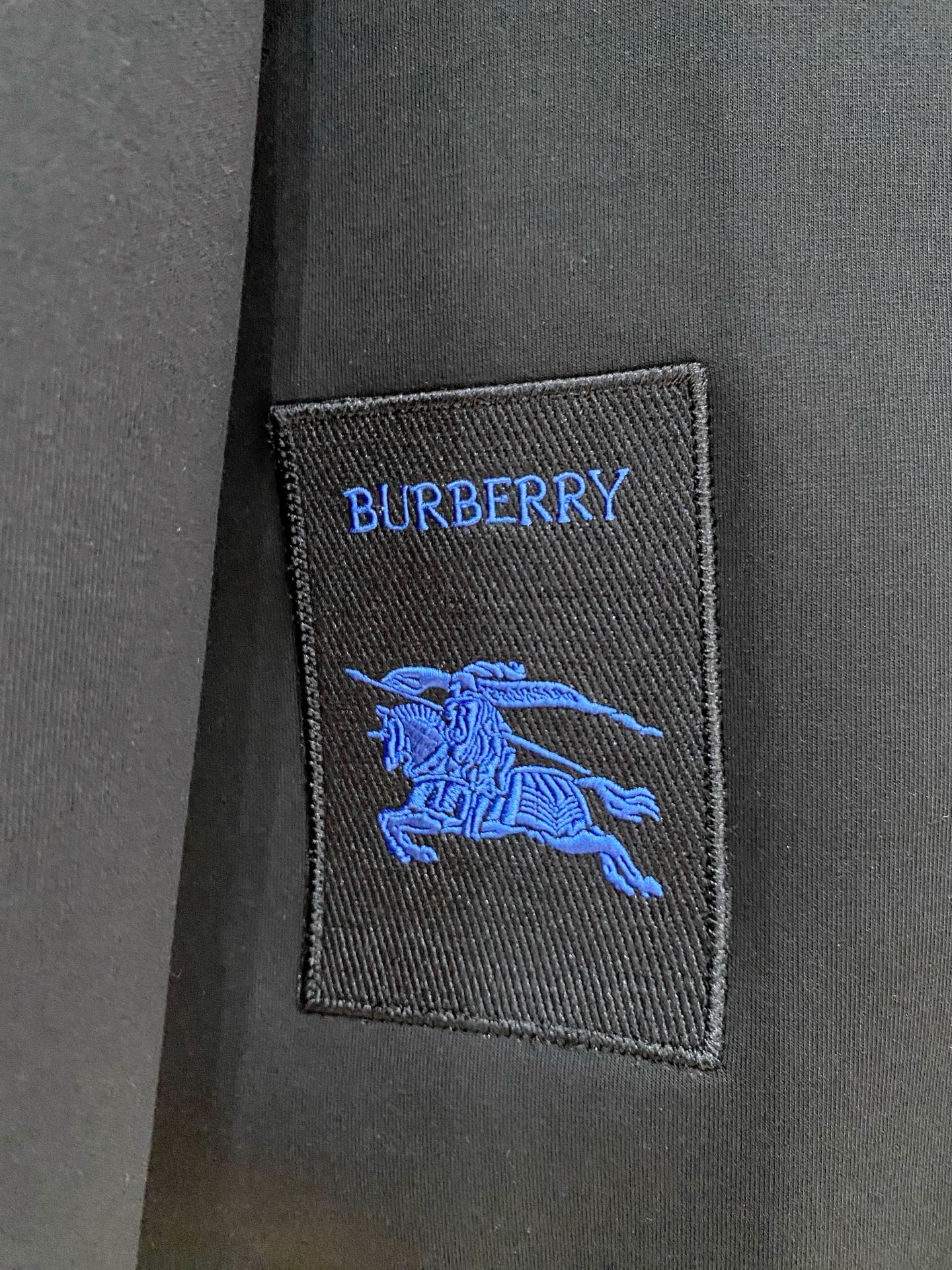 Burberry Hoodie in Black