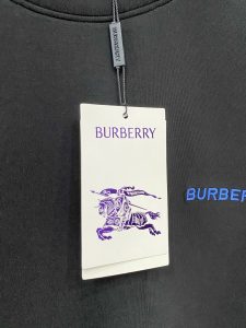Burberry Hoodie in Black