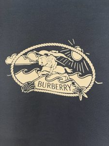 Burberry Hoodie in Black