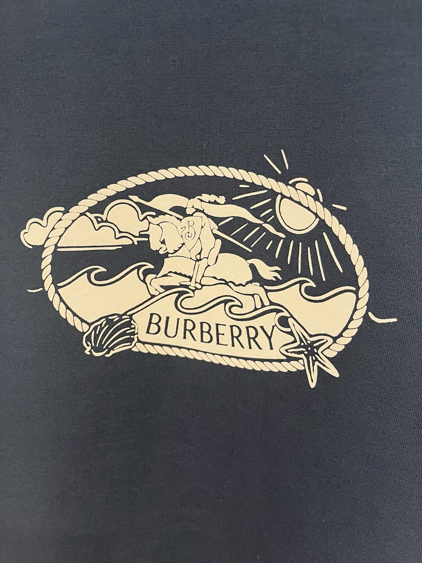 Burberry Hoodie in Black