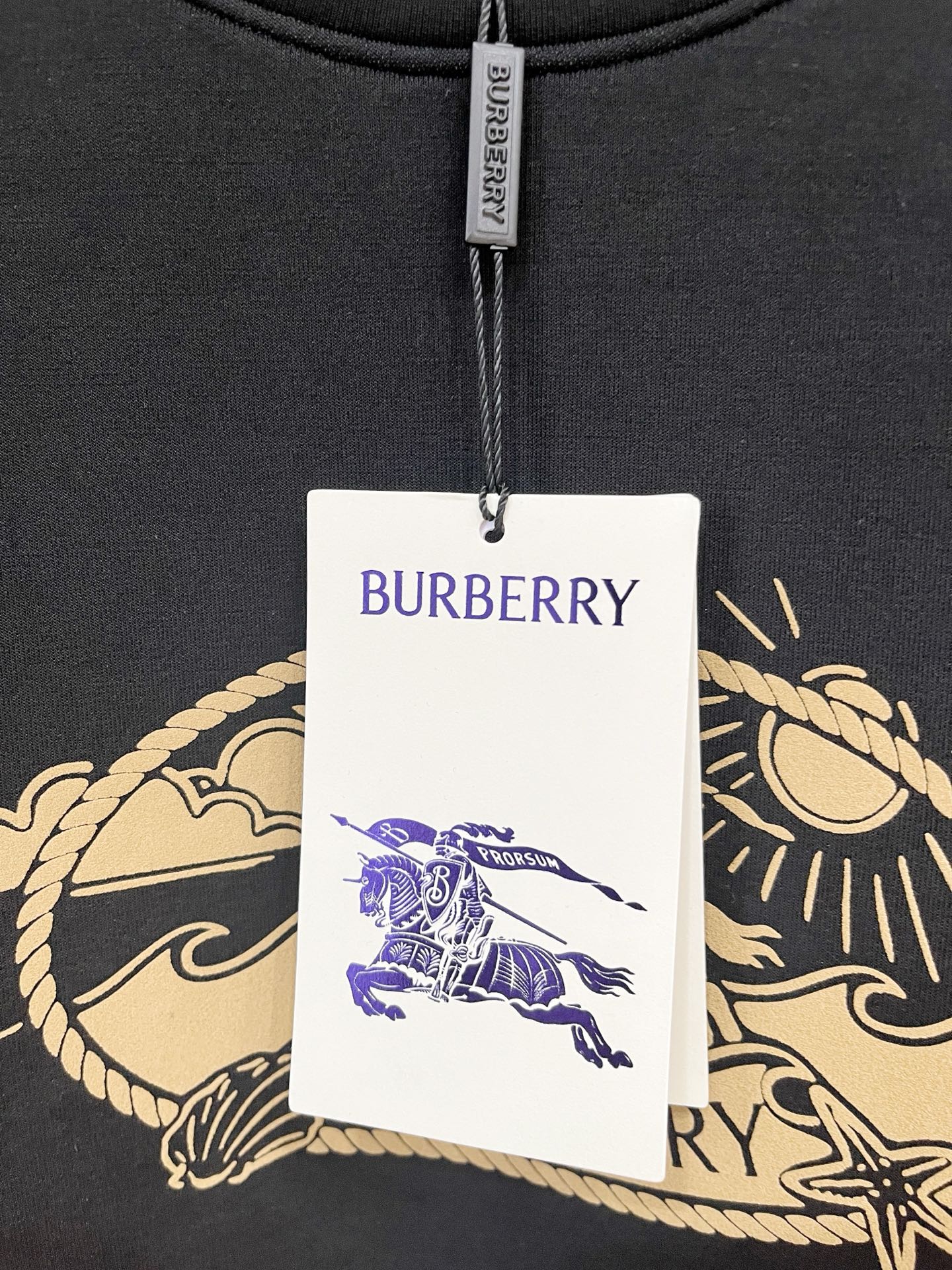 Burberry Hoodie in Black