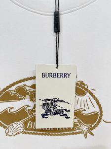 Burberry Hoodie in Black