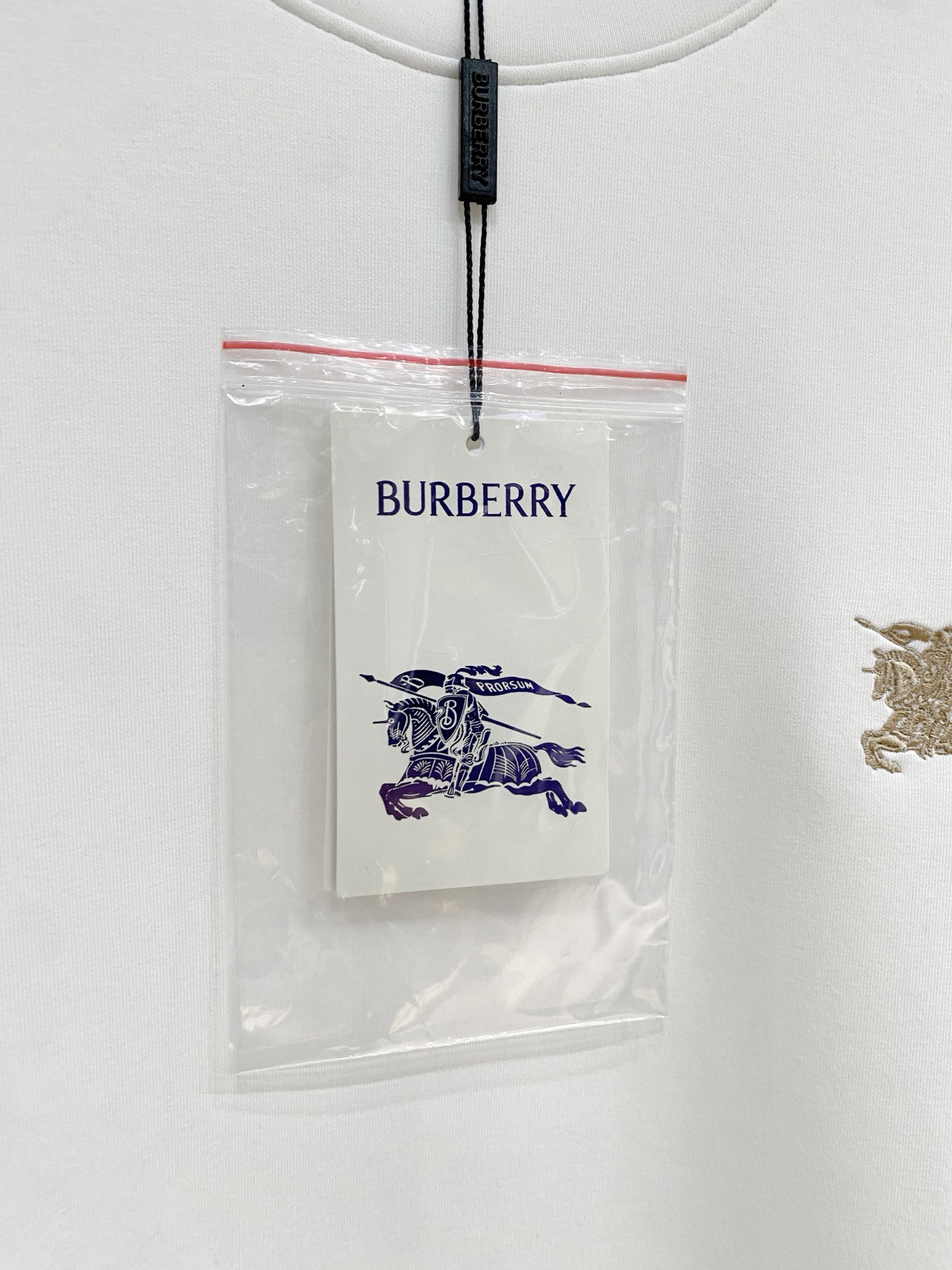 Burberry Hoodie in Black