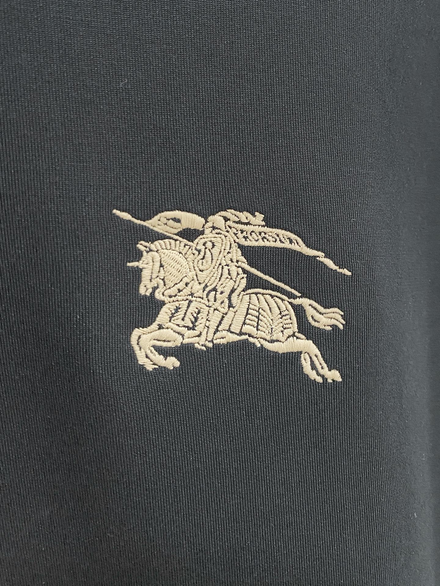 Burberry Hoodie in Black