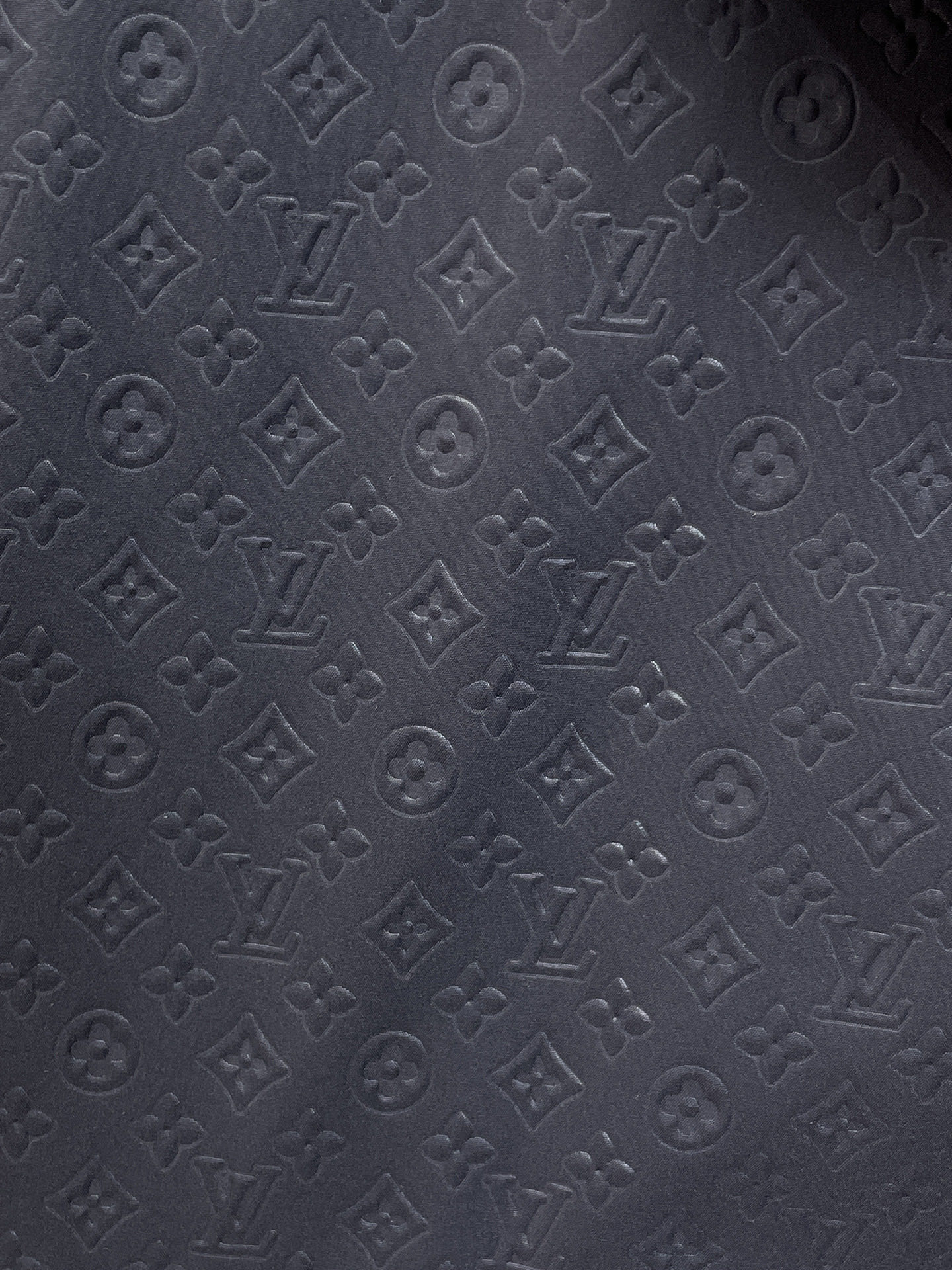 Louis Vuitton Jacket