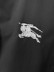 Burberry Jacket