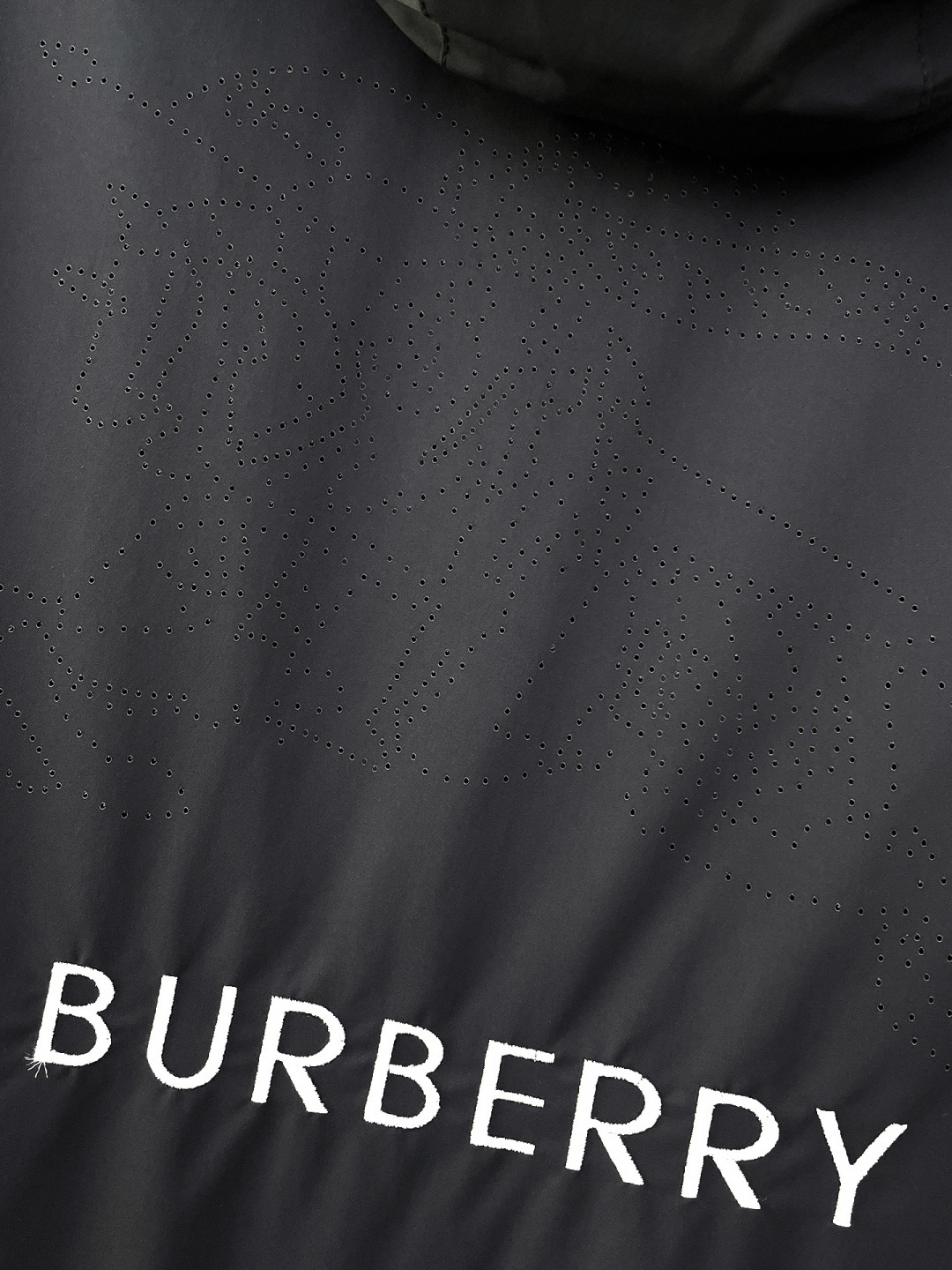 Burberry Jacket