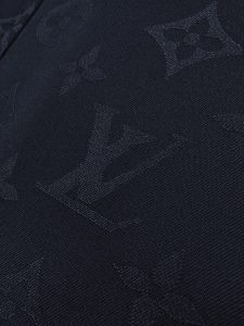 Louis Vuitton Outerwear