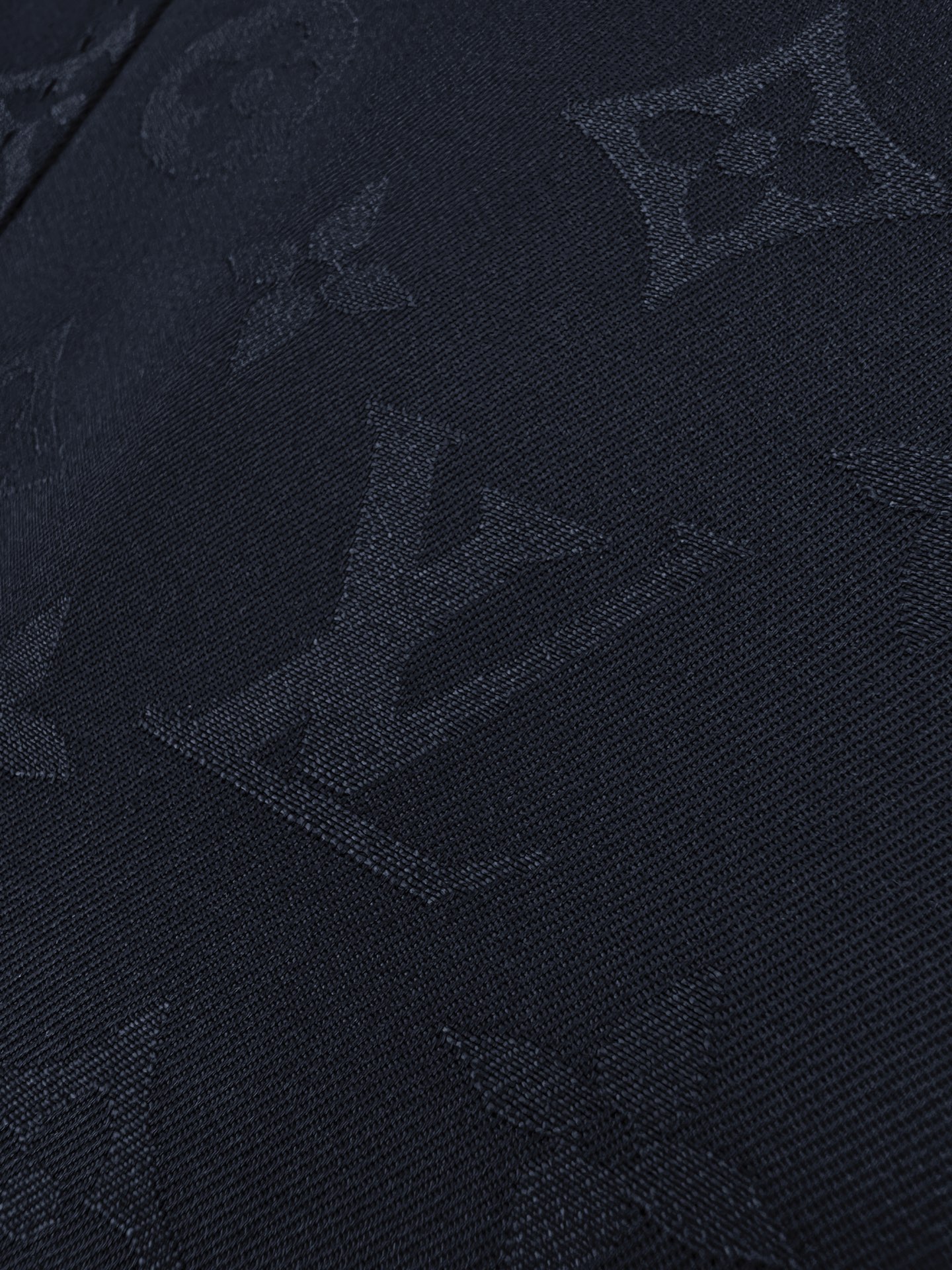 Louis Vuitton Outerwear
