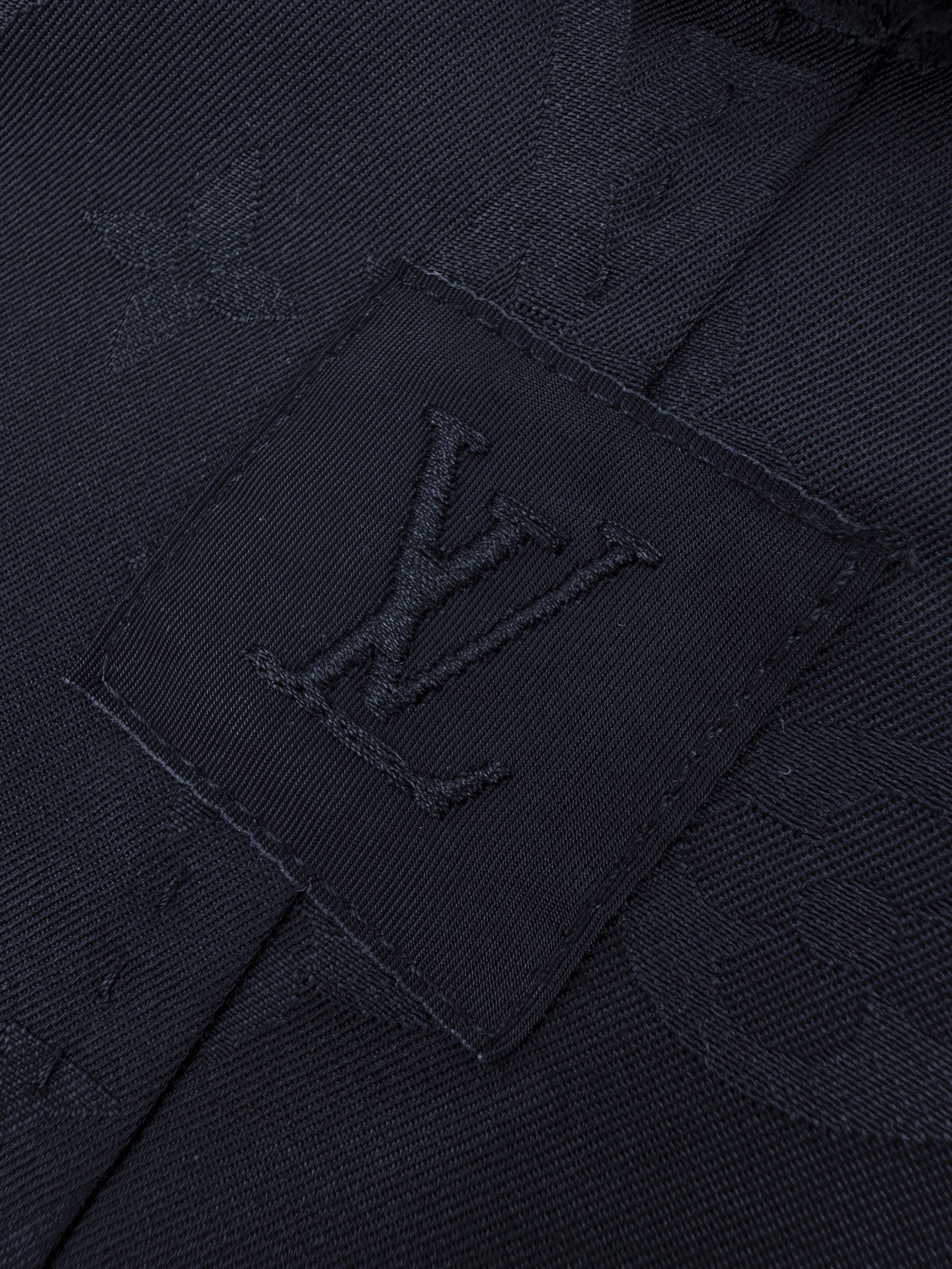 Louis Vuitton Outerwear