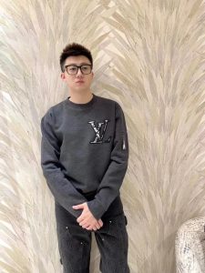 Louis Vuitton Hoodie 11999