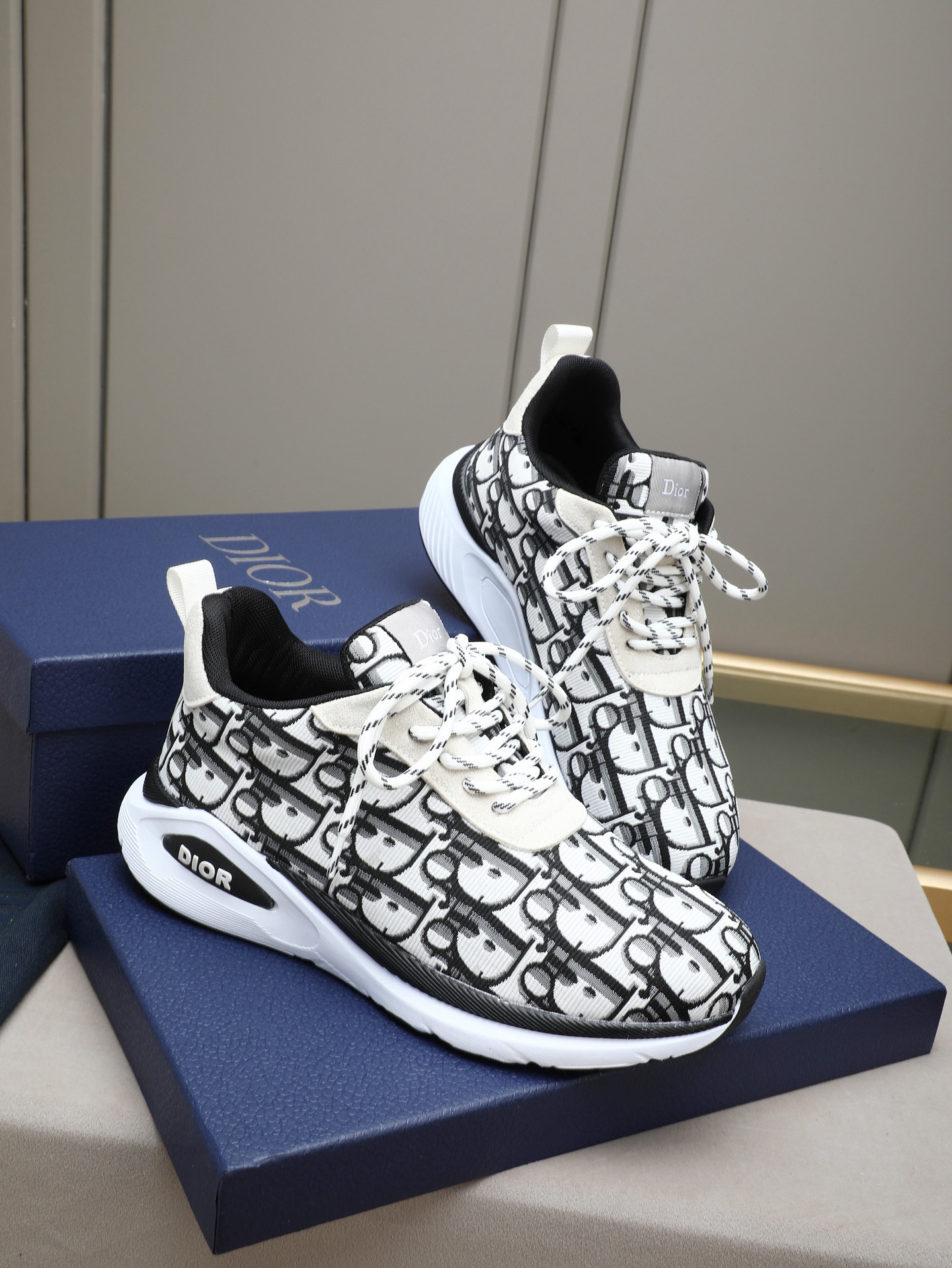 Dior Shoes