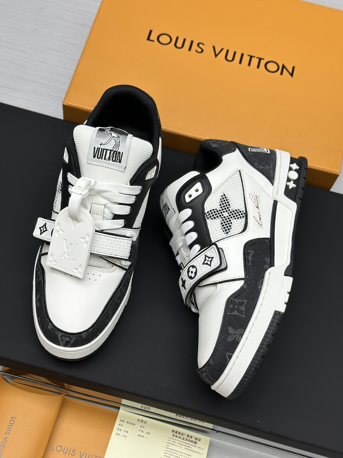 Louis Vuitton Shoes