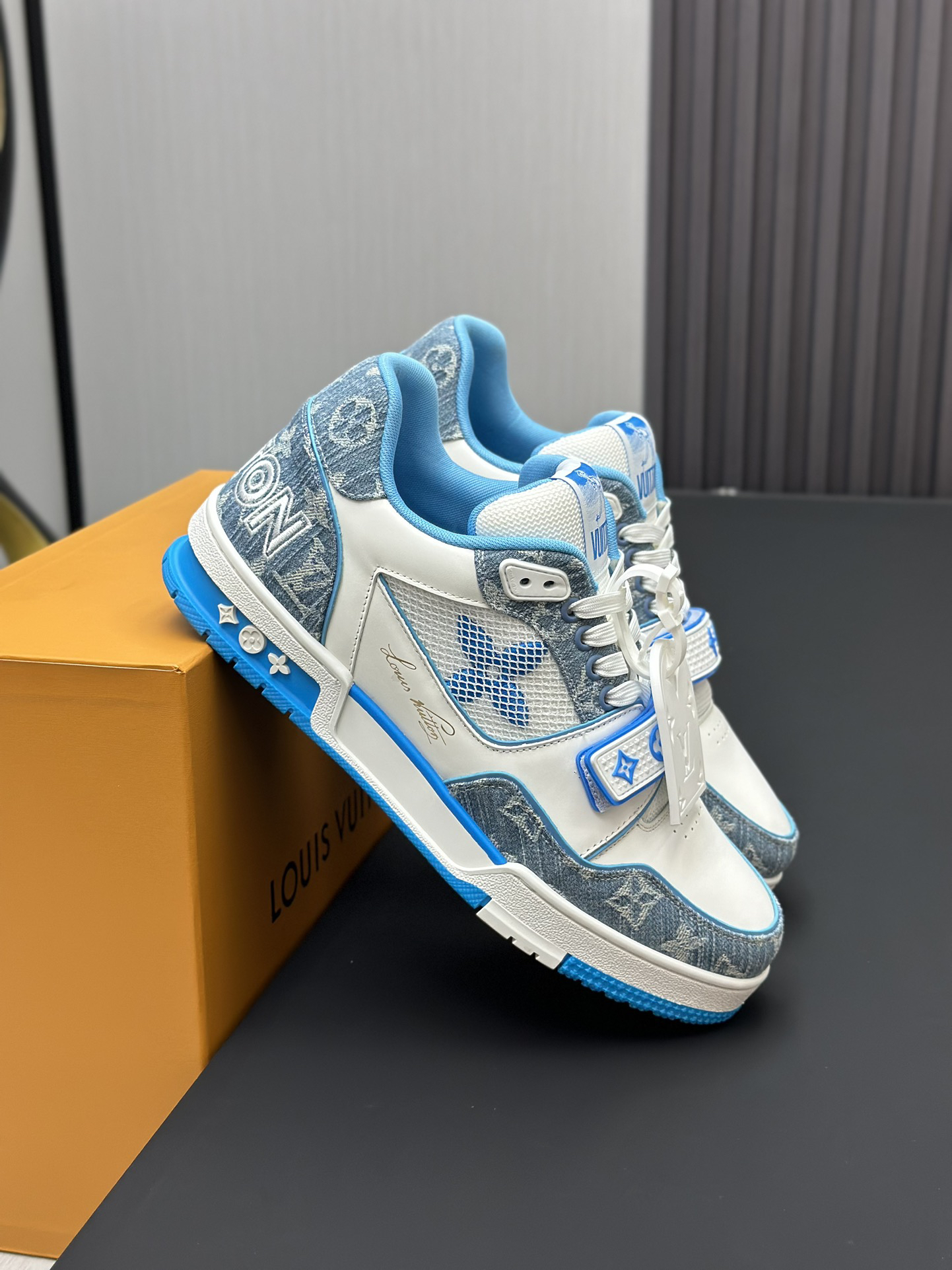 Louis Vuitton Shoes