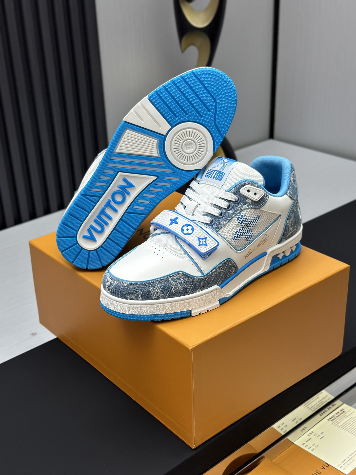 Louis Vuitton Shoes