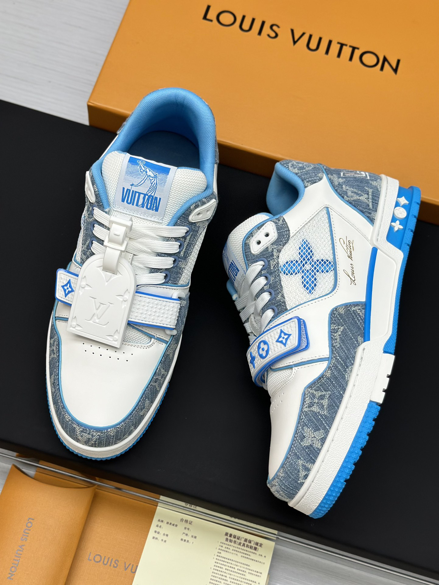 Louis Vuitton Shoes