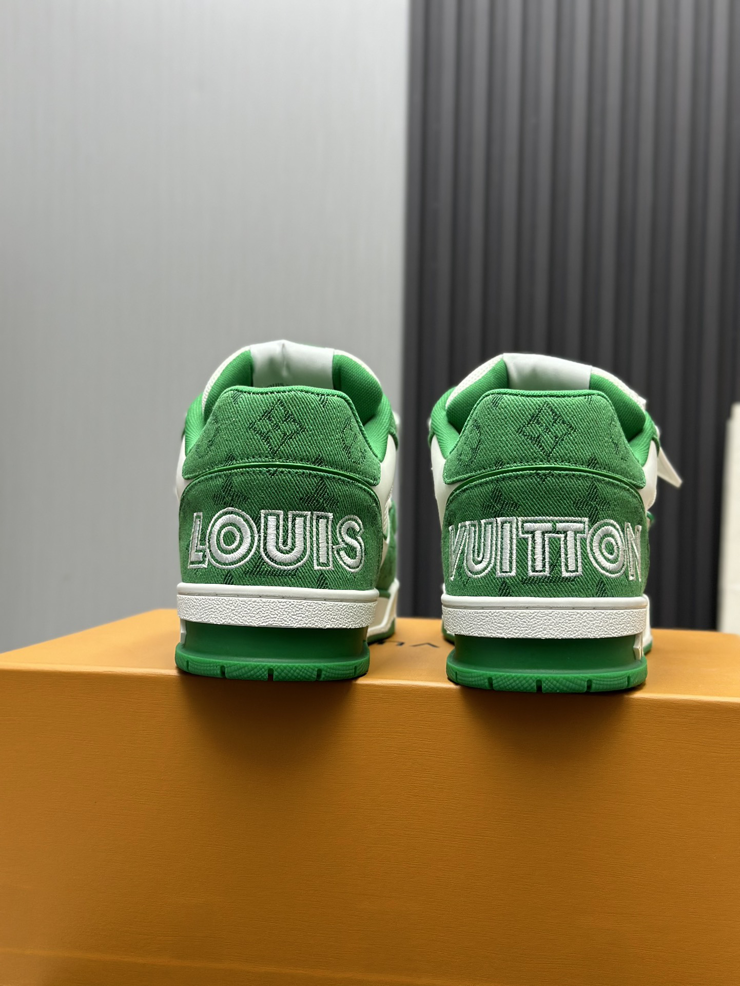 Louis Vuitton Shoes