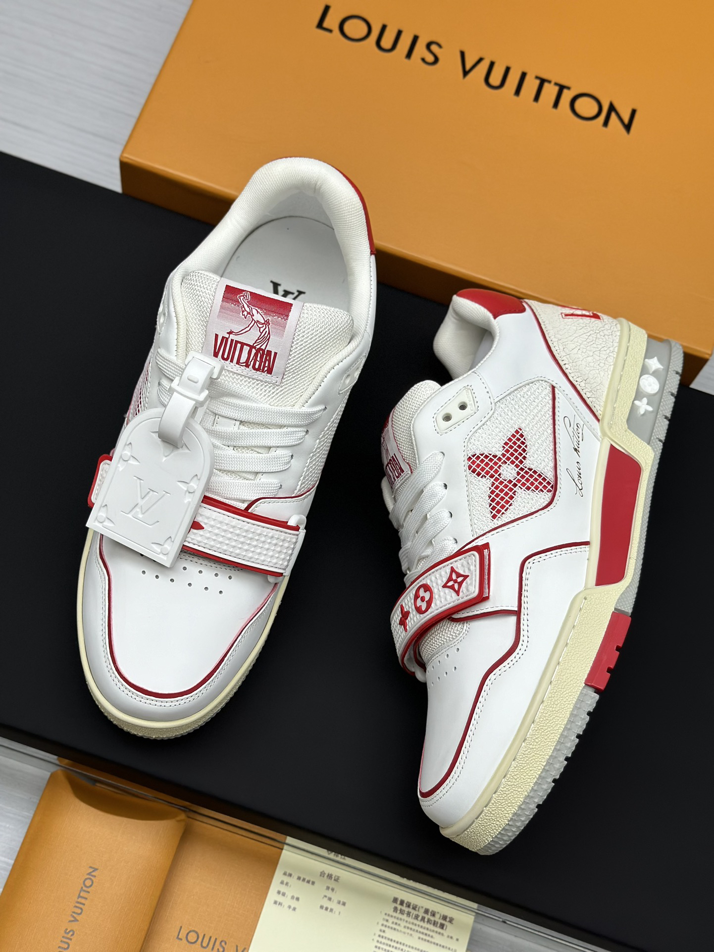 Louis Vuitton Shoes