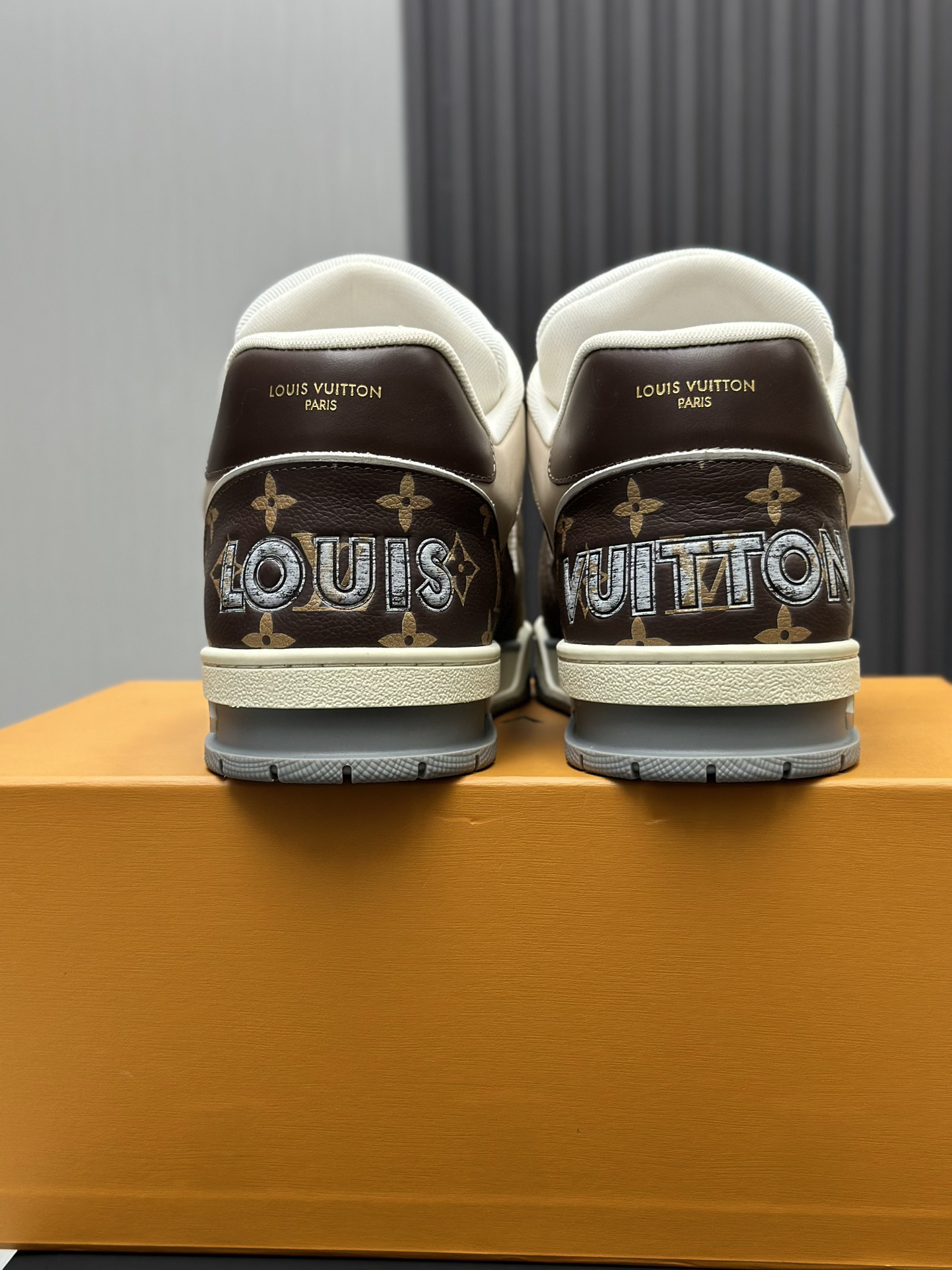 Louis Vuitton Shoes