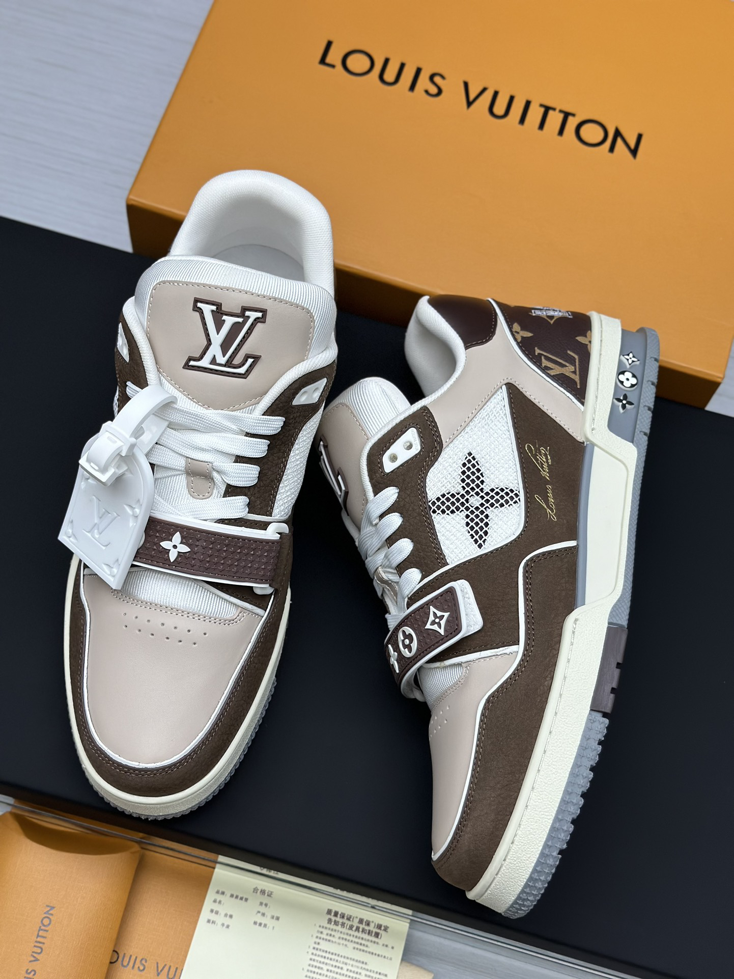 Louis Vuitton Shoes