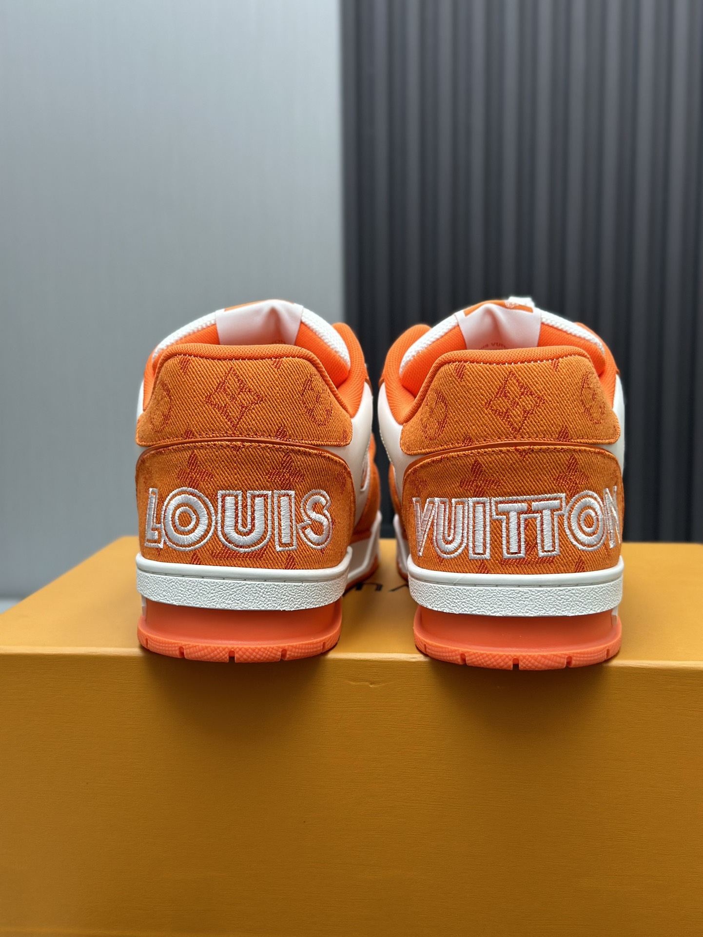 Louis Vuitton Shoes