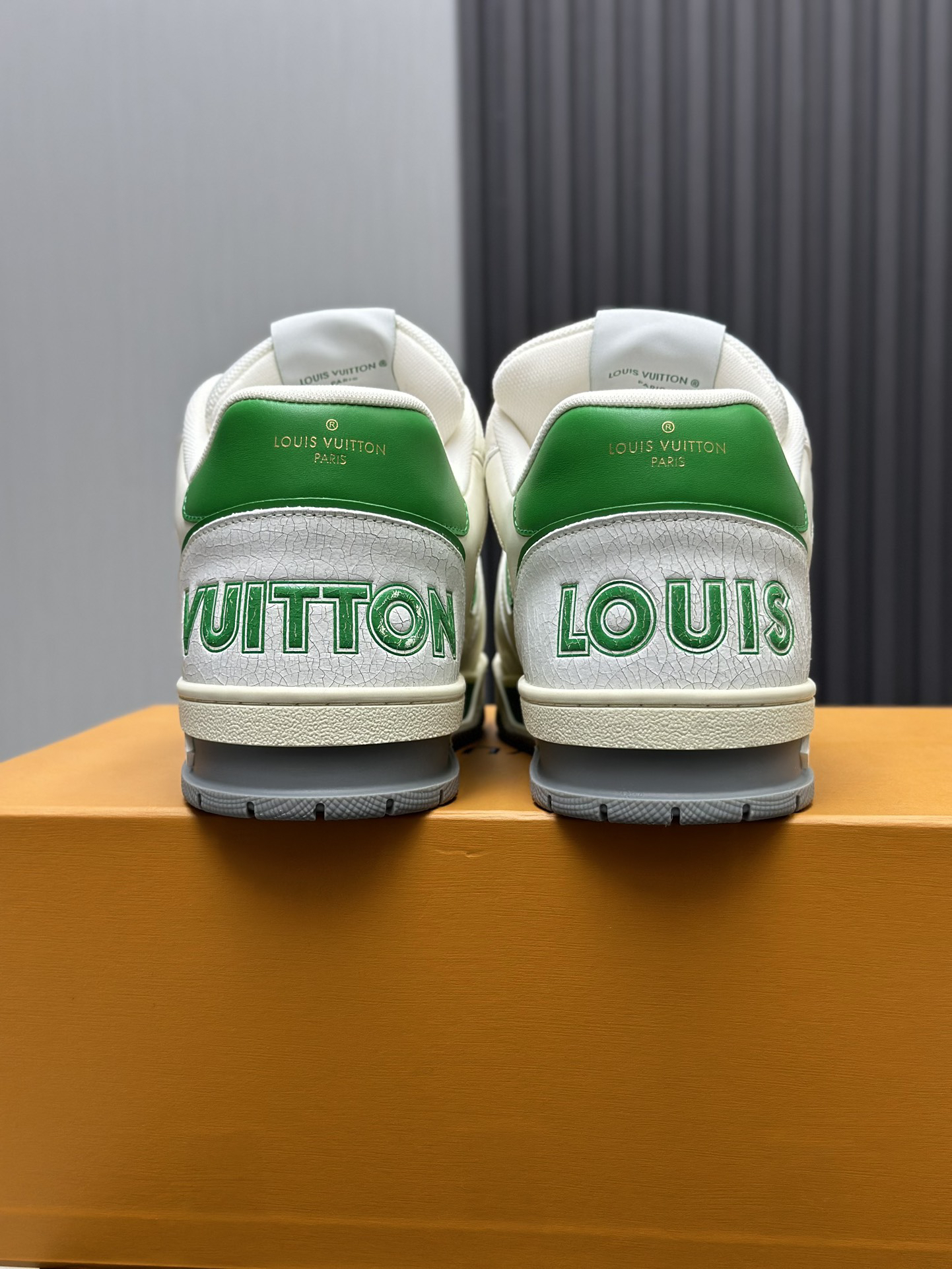 Louis Vuitton Shoes