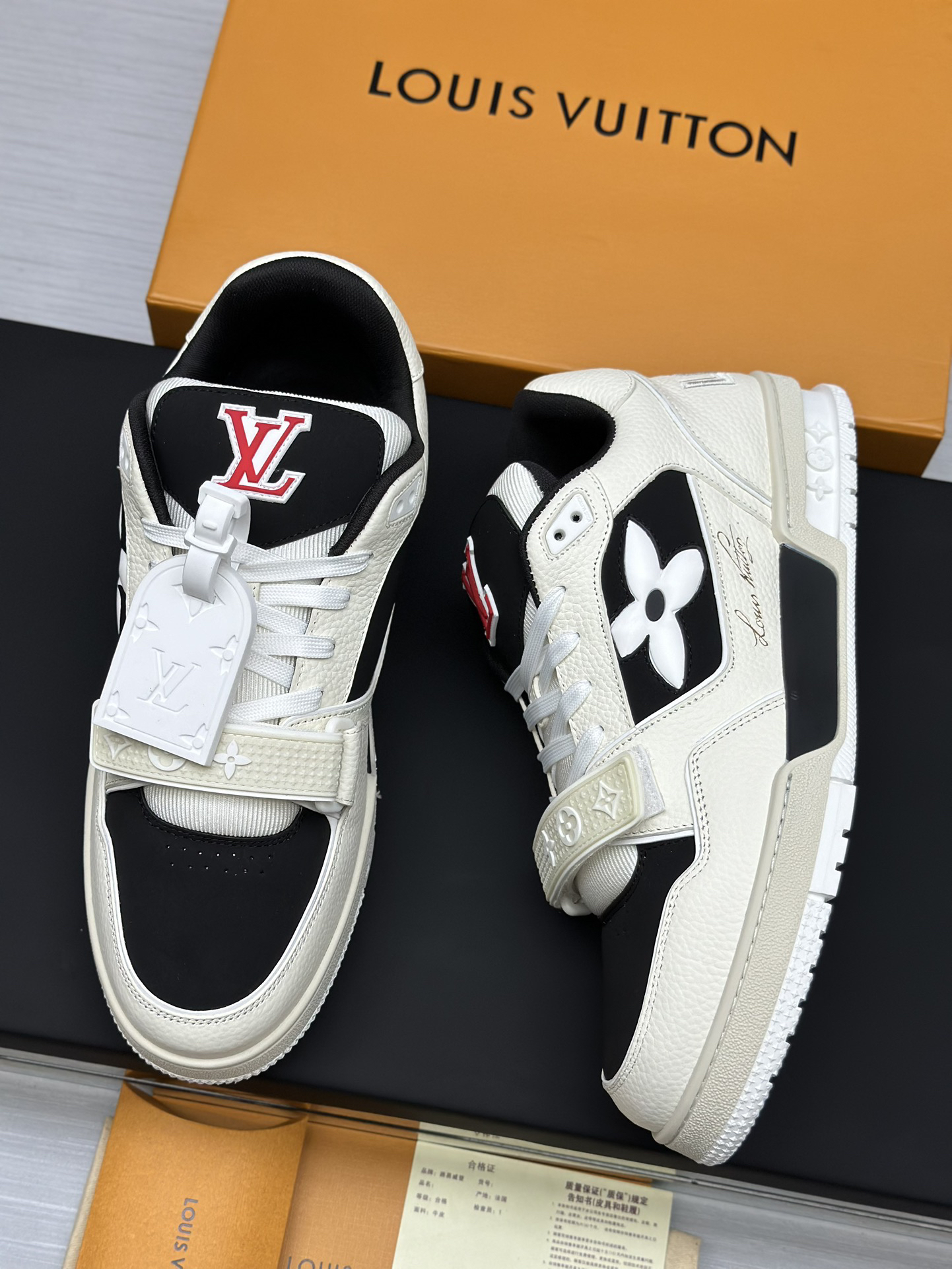 Louis Vuitton Shoes