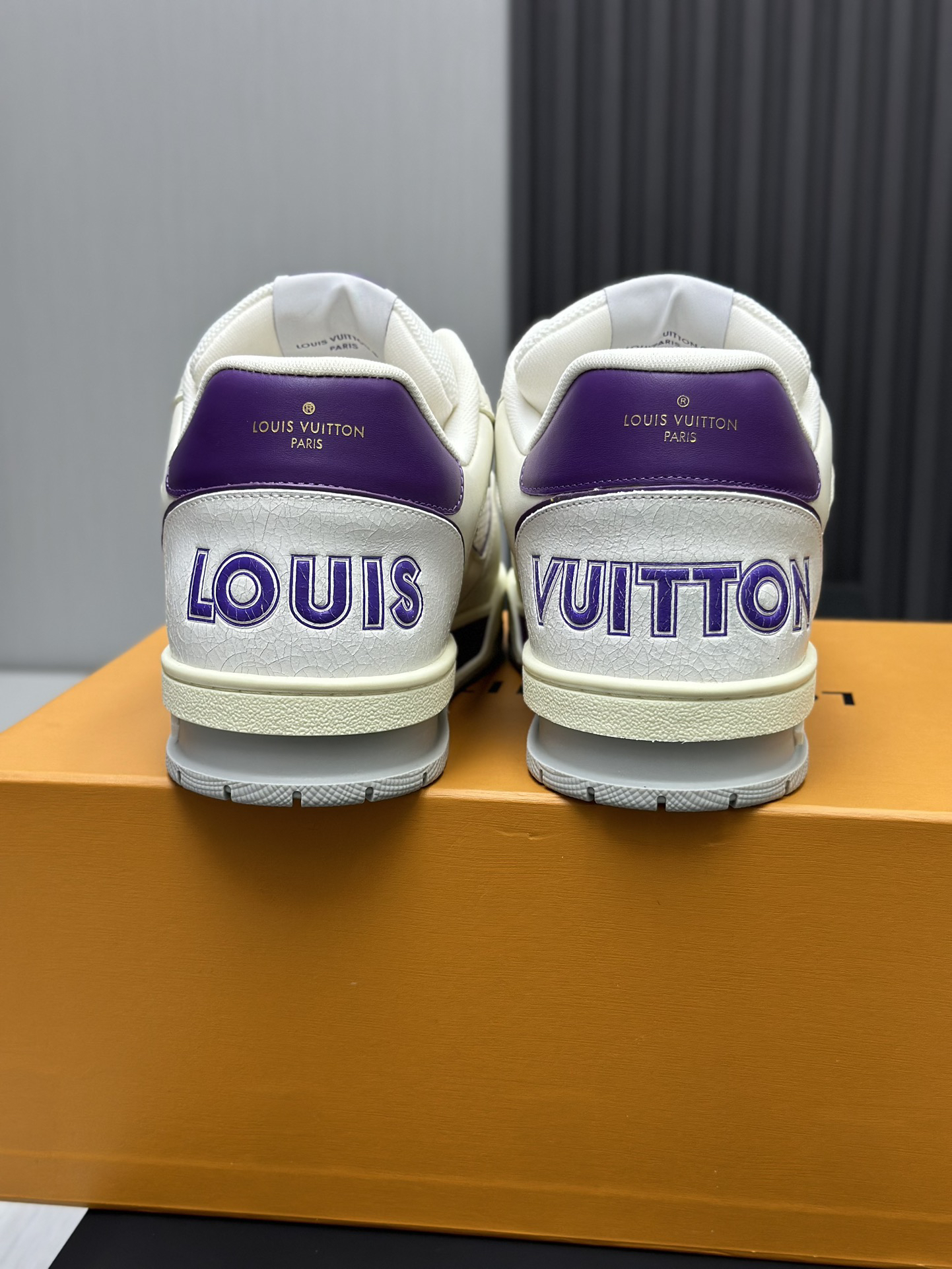 Louis Vuitton Shoes